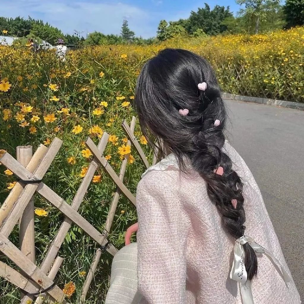 捕蝇纸